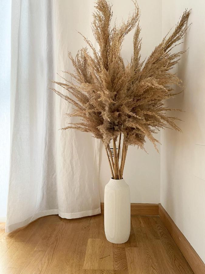מאלגה Agua Moana Suite מראה חיצוני תמונה